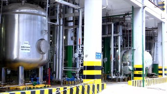 河源之光 新興能源技術研發領軍企業，產品遠銷歐非美洲